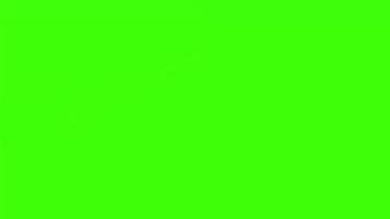 Green Screen Transitions: Khám phá các chuyển cảnh đầy ấn tượng và chuyên nghiệp của Green Screen. Với những kỹ thuật tinh tế, bạn sẽ được trải nghiệm những hành động độc đáo và thú vị trong các video của mình.