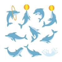 Set of funny dolphins jump and swim vector illustration