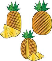 vector illustration of colorful pineapple doodle full and half