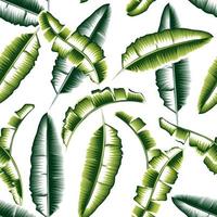 Fashionable abstract seamless background with green tropical banana leaves in monochrmatic color style on white background. Vector design. Jungle print. Colorful stylish. Exotic tropic. Summer themed