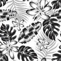 fashionable texture vintage tropical seamless pattern with banana leaves, palm and monstera leaf in black white monochromatic color style on light background. vector design. Exotic Summer design