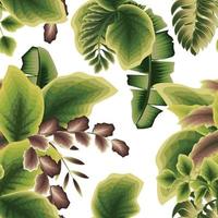 follaje de plantas de patrones tropicales sin fisuras botánico verde sobre fondo blanco. diseño vectorial trópicos exóticos. papel pintado botánico. fondo de selva tropical decorativo. diseño de impresión de textura de tela. primavera vector