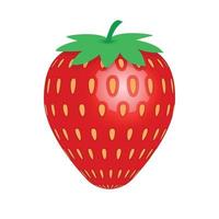 Garden strawberry icon isolated on white. for your design vector