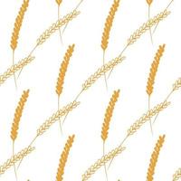 Seamless pattern with ears of wheat illustration on white background vector