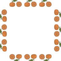 Square frame with tangerines on white background. Vector image.