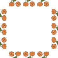 Square frame with tangerines on white background. Vector image.