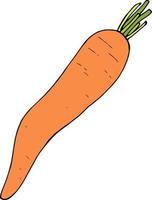 Creative carrot on white background. Vector image.