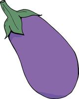 Eggplant on white background. Vector image.