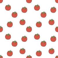 Seamless pattern with tomato on white background. Vector image.