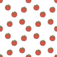 Seamless pattern with tomato on white background. Vector image.