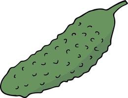 Cucumber on white background. Vector image.