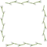 Square frame with green onion on white background. Vector image.