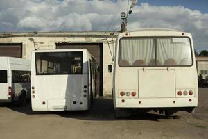 Parking of vehicles. Buses are white. Private area with buses. photo