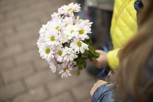 Bouquet of daisies. Flowers in hand. Commemorative flowers. photo