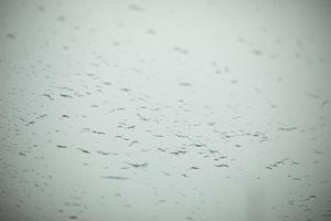 Lots of birds in sky. Drops on glass. Transparent material. photo