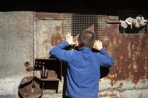 el niño mira por la ventana. curiosidad en chico. el colegial sube a la casa vieja. foto