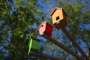 casas para pájaros. casas de madera de colores. un elemento en el parque. objeto de arte para animales. foto