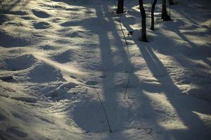 Snow in winter in evening. Frozen ground. Winters were coming. photo
