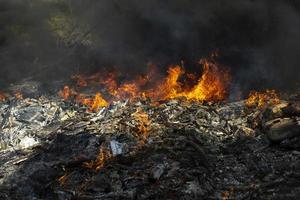 Fire in landfill. Fire and smoke. Burning garbage. photo