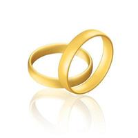 Golden realistic wedding rings with reflection Anniversary romantic surprise vector