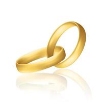 Golden realistic wedding rings with reflection Anniversary romantic surprise vector