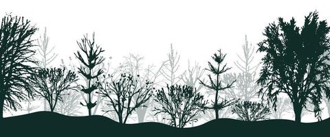 Black silhouettes of trees in forest background. Mystical thicket of spruce and beeches with bushes in light fog. Mysterious landscape in natural vector design