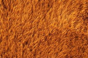 Texture orange wool carpet background photo