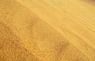 olas de textura de arena. dunas del desierto. paisaje de puesta de sol de dunas del desierto. foto