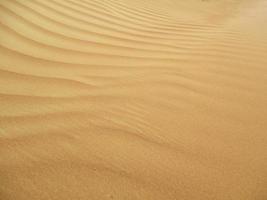 Waves of sand texture. Dunes of the desert. Desert dunes sunset landscape. photo