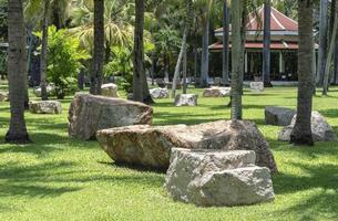 roca grande con campo de hierba en el parque foto