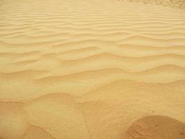 Waves of sand texture. Dunes of the desert. Desert dunes sunset landscape. photo