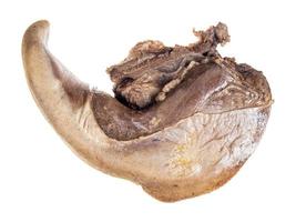 whole cooked beef tongue isolated on white photo