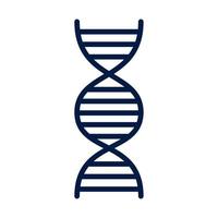 dna molecule genetic vector