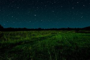 Starry night in grassland. photo