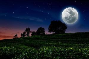 luna llena y estrellas sobre campo agrícola foto