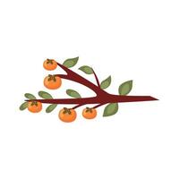 branch with oranges fruits vector