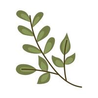 branch with leafs vector