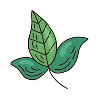 green leafs plant vector