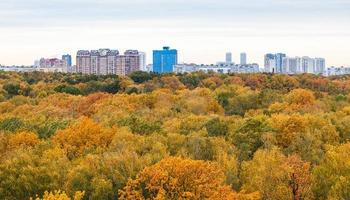 panoramic view of yellow park and city in autumn photo