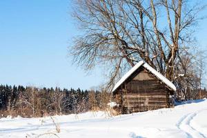 vieja cabaña de madera abandonada cerca del bosque en invierno foto
