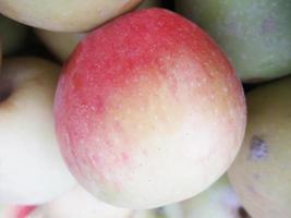 fresh fruits and vegetables photo