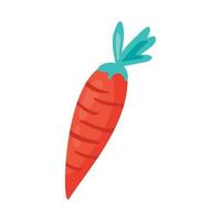 carrot fresh vegetable vector