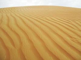 Waves of sand texture. Dunes of the desert. Desert dunes sunset landscape. photo