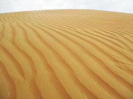 olas de textura de arena. dunas del desierto. paisaje de puesta de sol de dunas del desierto. foto