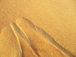 Waves of sand texture. Dunes of the desert. Desert dunes sunset landscape. photo