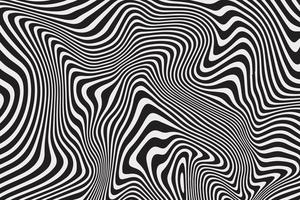 zebra texture  . Vector