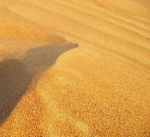 Waves of sand texture. Dunes of the desert. Desert dunes sunset landscape. photo