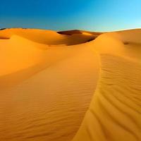 Sand dunes in the Sahara Desert photo