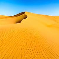 Sand dunes in the Sahara Desert photo