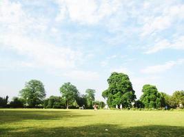 Nature , sky and green landscape photo